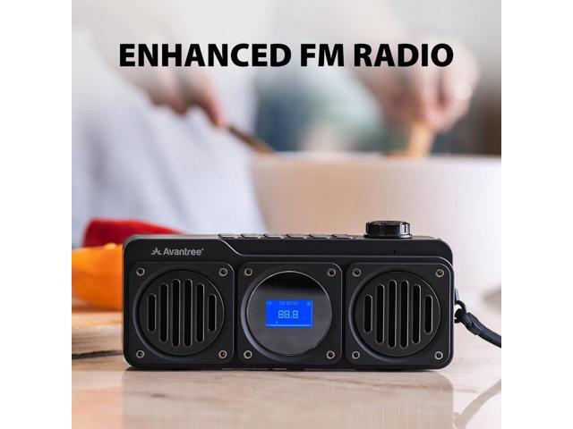Avantree Boombyte - Portable Digital FM Radio with Bluetooth Speaker, Superb Sound, Metal Finish, MP3 Player, Support Micro SD Card & USB Audio...