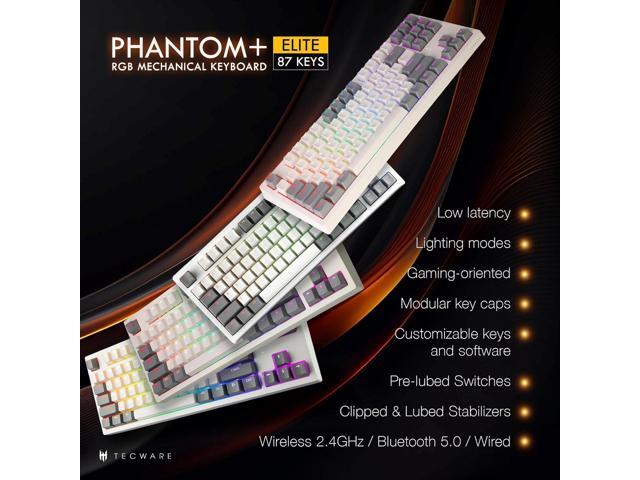 TECWARE Phantom+ Elite 87 Key RGB Mechanical Gaming Keyboard, LED Backlit, Universal Hot-Swap, Wired and Wireless, 3 Mode Connectivity, Thocky...