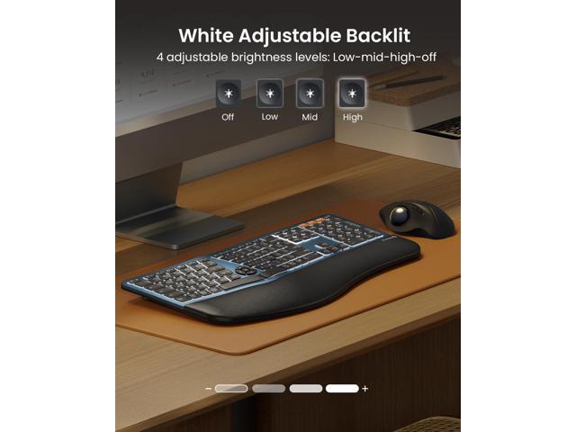 ProtoArc Backlit Bluetooth Ergonomic Keyboard, EK01 Plus Full Size Wireless Split Keyboard with Dual Bluetooth and USB, Cushioned Wrist Rest,...