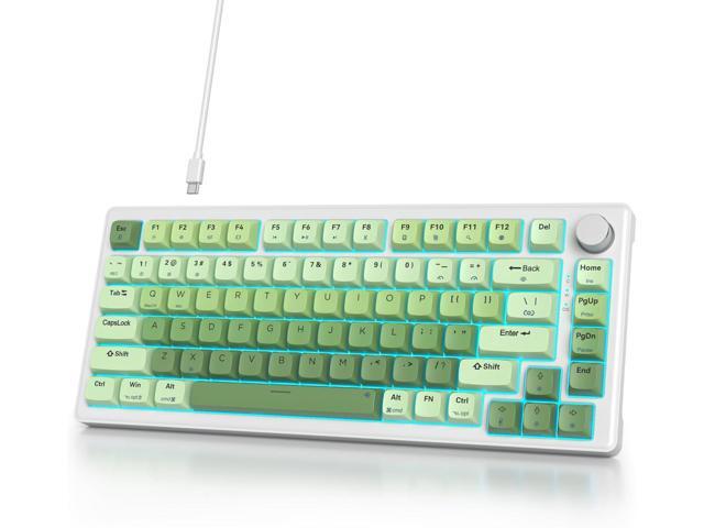 75% Wired Keyboard with Knob, 75 Percent Gaming Green Keyboard Hot Swappable Gasket Mount,White Switch,82 Keys TKL Mechanical Keyboard,NKRO Creamy...