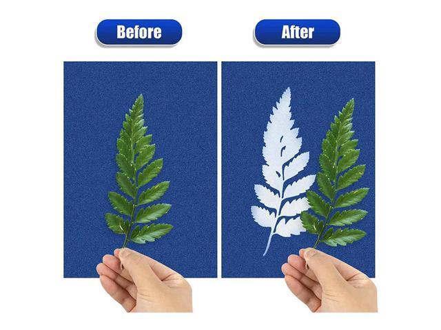 Cyanotype Paper, 60 Pcs A5 Sun Print Paper Kit, High Sensitivity Sun Print Nature Printing Paper Solar Drawing Pape