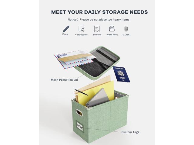 Oterri File Organizer Box with Lid, Hanging Filing File Box with Mesh Pocket, Document Organizer Box for Letter Files, Portable Storage Box(1 PCS,...