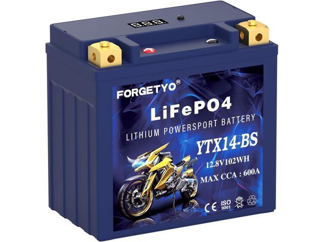 YTX14-BS Lithium Motorcycle Battery, ATV Battery 12V 8AH 600CCA Compatible with Yamaha Scooter Snowmobile Jet Ski, Scooter, PWC & More