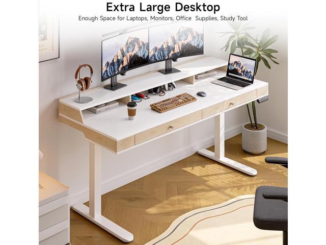 Standing Desk With Drawers, 47x23.6 Inch Electric Stand Up With Storage Shelf and Memory Controller, Adjustable Height 28-46 Inch for Computer...