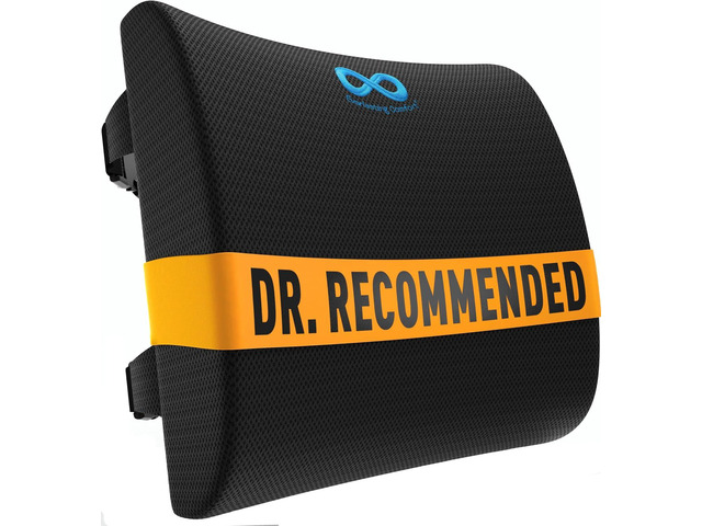 Everlasting Comfort Lumbar Support Pillow for Office Chair - Memory Foam Back Cushion for Seat, Car, Couch - Promotes Better Posture, Back Pain...