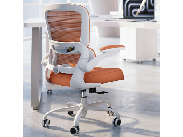 TRALT Office Chair - Ergonomic Desk Chair with Adjustable Lumbar Support, Mesh Computer Chair, Executive Chairs for Home Office Comfortable Lumbar...
