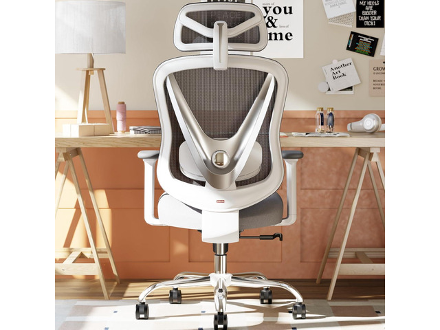 Ergonomic Mesh Office Chair - 3D Adjustable Lumbar Support & 3D Armrests, V-Shaped Back, Adjustable Desk Chair for Office & Home, White