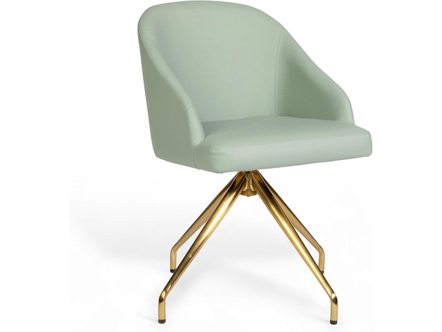 Martha Stewart Sora Stationary Swivel Task Chair with Sloped Arms for Home Office in Sage Faux Leather with Polished Brass Frame
