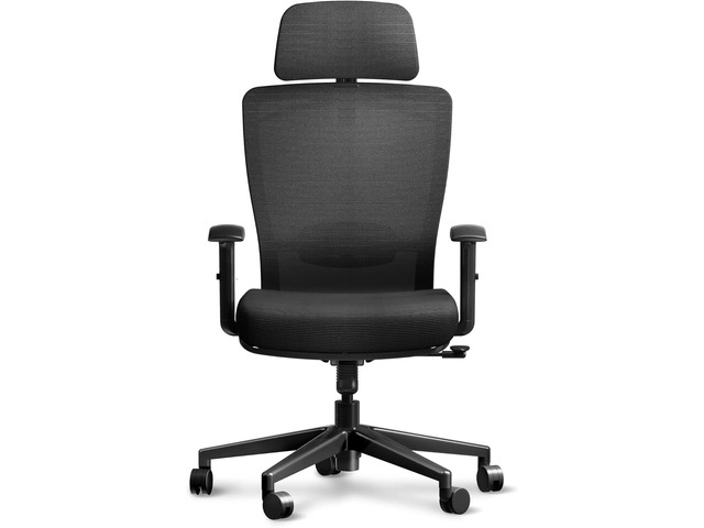 Ergonomic Office Chair High Back Computer Chair Home Office Desk Chairs with Lumbar Support/Heavy Duty Base/Headrest/Lockable Back, Comfortable...