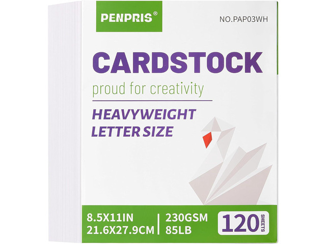120 Sheets White Cardstock - 8.5 x 11 Letter Size Cover Card Stock 230gsm/85lb Heavyweight Paper Thick Paper for Scrapbooking, Crafts, Business...