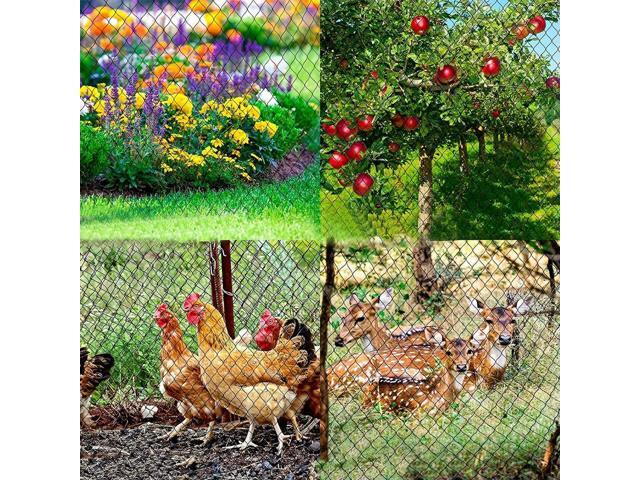 25X50FT Nylon Bird Netting Mesh Hawk Netting Protective 7.5mx15m Chicken Coop Netting Tree Netting for Birds Deer Squirrels