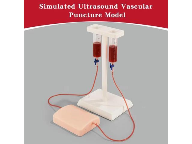 Vascular Puncture Training Model With Ultrasound Guidance, Ultrasonic Simulator Featuring Blood Vessels, For -Educat