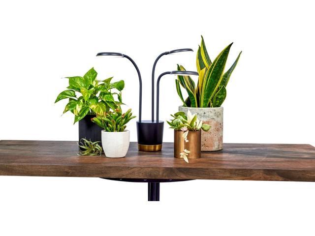 AeroGarden Trio Grow Light for Indoor Plants, Grow Live Plants Anywhere in The Home, Adjustable Light Modes, Black