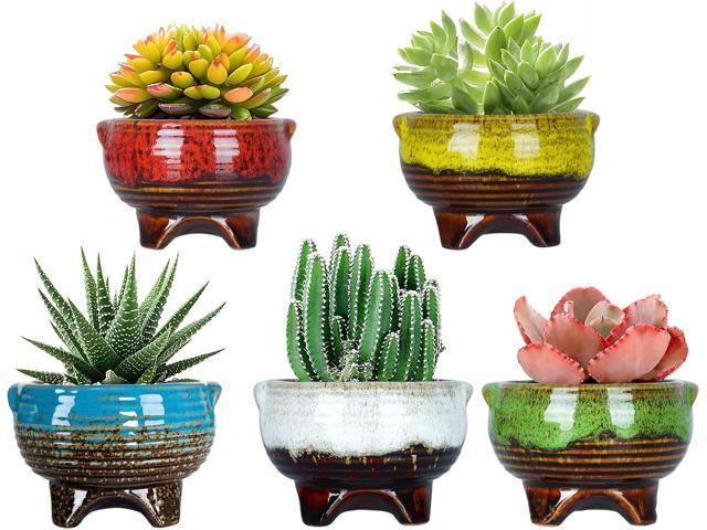 ARTKETTY Succulent Pots - 4 Inch Small Plant Pots with Drainage Pack of 5, Ceramic Pots for Indoor Plants Colorful Cactus Flower Planter Container