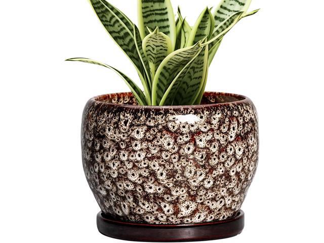 SQOWL Ceramic Plant Pots - 6 Inch Ceramic Planter for Indoor Outdoor, Small Flower Pots with Drainage Hole and Saucer, Decorative Round Planter,.