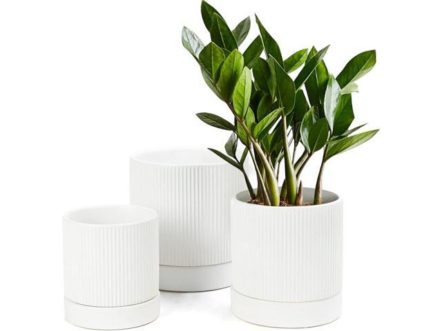 LaDoVita 3 Pack Ceramic Plant Pots 6/5/4 inch, Flowerpot for Indoor Plants with Drainage Holes and Tray, Outdoor Garden Planters, Modern Decorative.