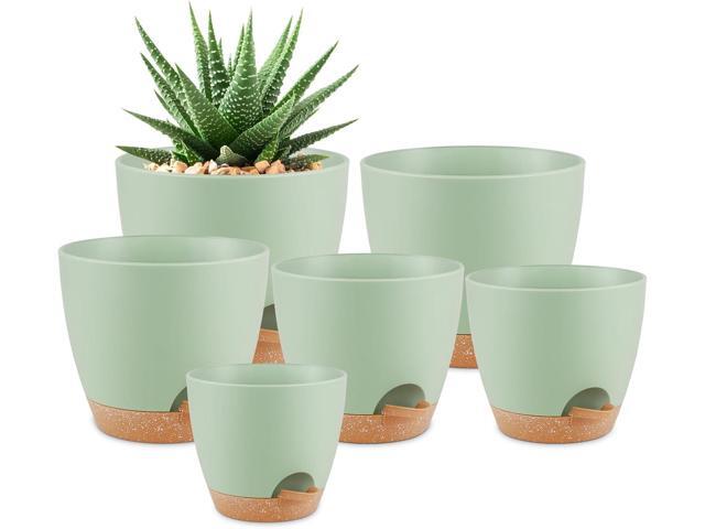 QRRICA Plant Pots 8/7/6.5/6/5.5/5 Inch Self Watering Pots, Set of 6 Plastic Planters with Drainage Holes and Saucers,Plastic Flower Pots,Nursery...