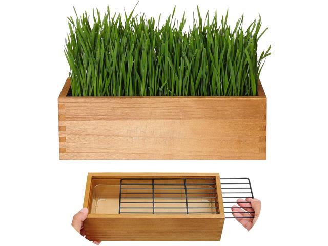 Wooden Cat Grass Planter (no Seeds Included) with Potting Soil Disks, Anti-Digging Grid and Removable Plastic Liner, Wheat Grass Growing Pot, Cat.