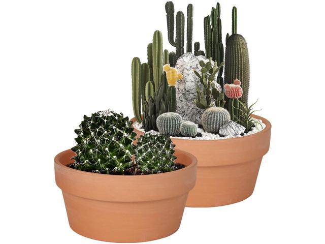 vensovo 8 Inch Terracotta Shallow Succulent Pot - 2 Pack Large Terra Cotta Clay Pot, Cacuts Indoor and Outdoor Planters with Drainage Hole