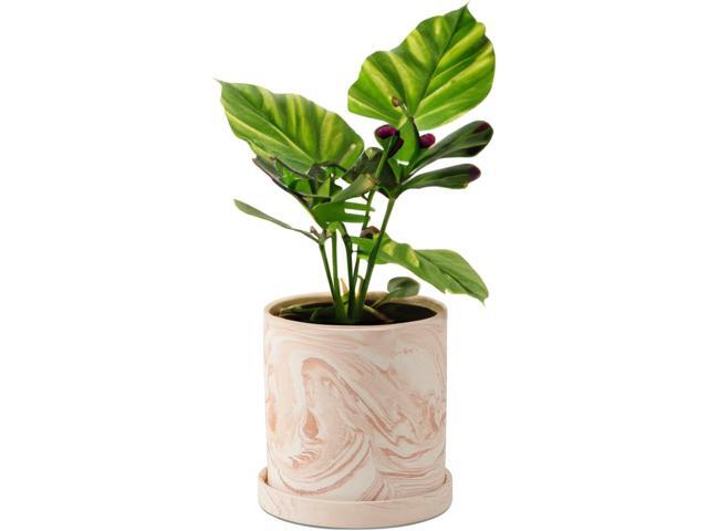 4 inch Plant Pot - Terra Cotta Flower Planters Indoor - Modern Succulents Containers with Drain Hole & Saucer, Decorate Home, Office (Pink)