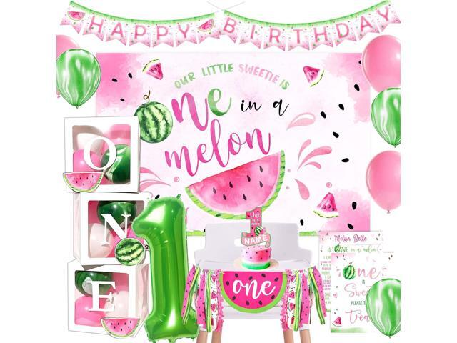 One in A Melon Party Decorations, Watermelon First Birthday Party Supplies, One in a Melon Backdrop High Chair Banner, Baby 1st Birthday Balloon Boxes