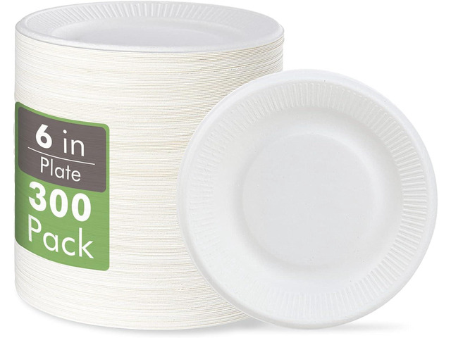 Vplus 100% Compostable Small Paper Plates, 300 Pack 6 Inch Disposable Paper Plates, Uncoated Biodegradable, Made of Sugar Cane Fibers, Perfect for...