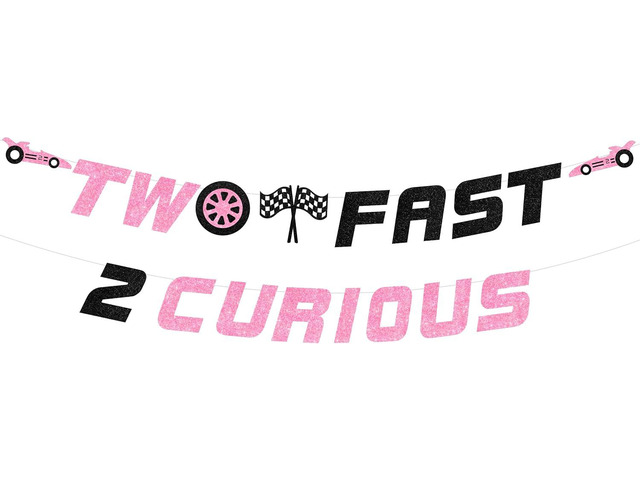 Two Fast Two Curious Birthday Decorations for Girl, Two Fast Two Curious Banner Pink, Race Car 2nd Birthday Lets Go Racing Party Supplies