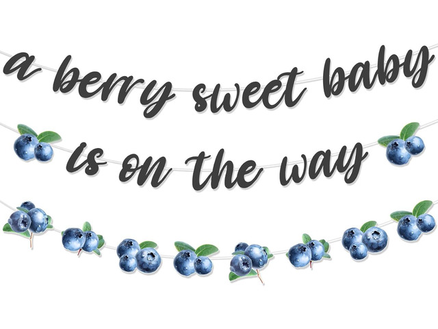 Jollyboom Blueberry Baby Shower Decorations, A Berry Sweet Baby is On the Way Banner Garland for Boy Blueberry Fruit Theme Birthday Party...