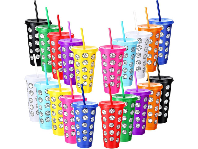 Potchen 20 Pcs Colorful Sports Ball Plastic Tumbler with Lid and Straw 24 oz Reusable Plastic Cups for Volleyball Bowling Soccer Lovers Men Women...