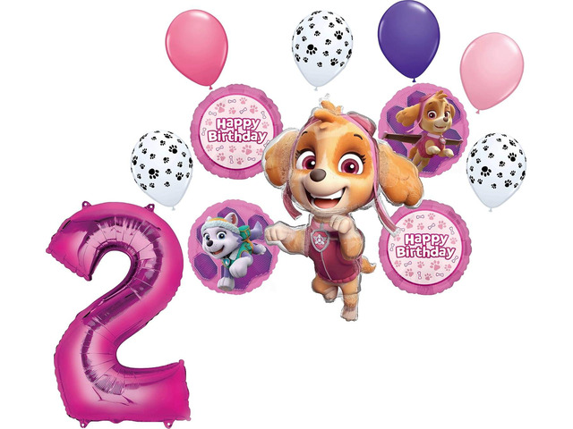 Skye and Everest 2nd Birthday Party Supplies Girl Paw Pups on Patrol Balloon Bouquet Decorations 12ct
