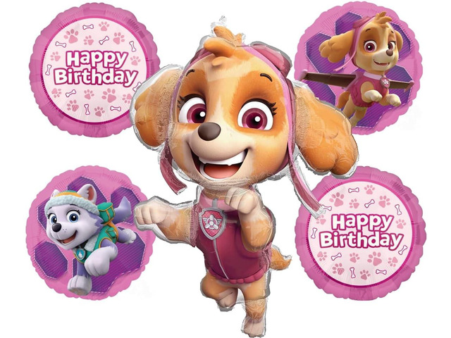 Skye and Everest Birthday Party Supplies Girl Paw Pups on Patrol Balloon Bouquet Decorations 5ct