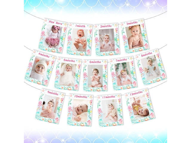 Under the Sea 1st Birthday Decorations for Girls, Ocean Themed Monthly Photo Banner for Newborn to 12 Months, Sea Animal Marine Creature Theme...