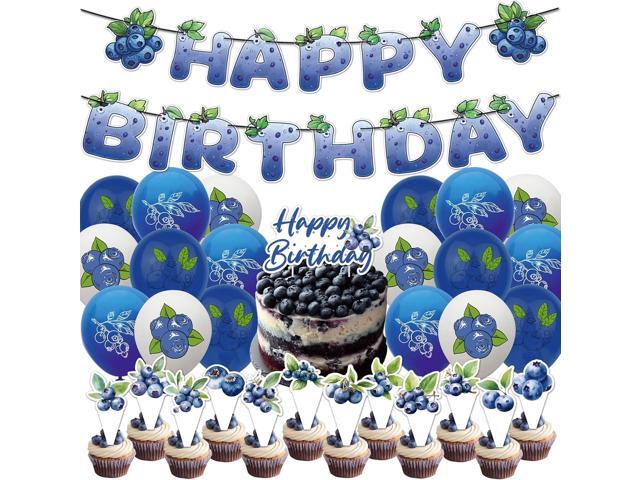 Blueberry Birthday Decorations Party Supplies Includes Birthday Banner Cake Topper Cupcake Toppers Balloons for Fruit Party Baby Shower Decorations