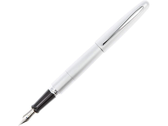 PILOT Metropolitan Collection Fountain Pen, Silver Barrel, Classic Design, Fine Nib, Black Ink (91113)