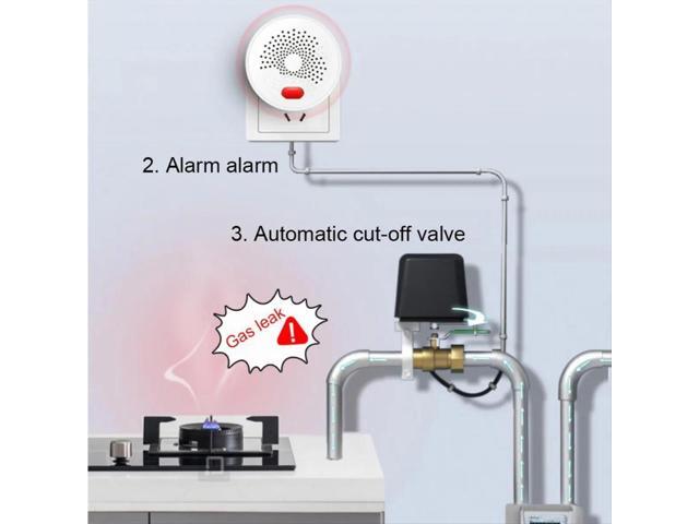 Smart Gas Leakage Detector Highly Sensitive Combustible Gas Alarm LPG Natural Gas Sensor EU PLUG