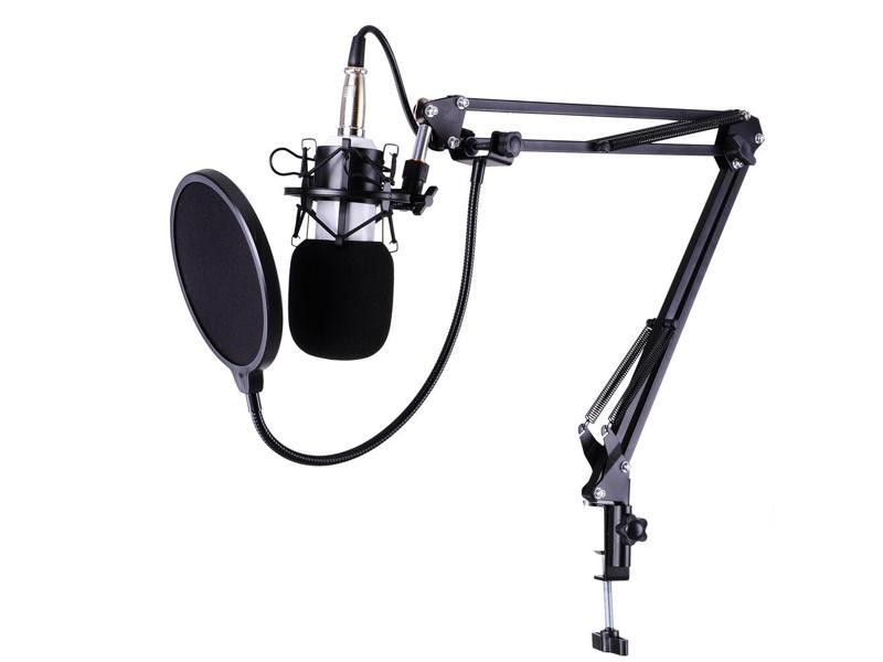 Pro Condenser Microphone W Shock Mount Arm Stand Pop Filter For