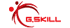 G.SKILL G.SKILL
