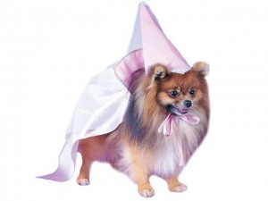 pet-costume