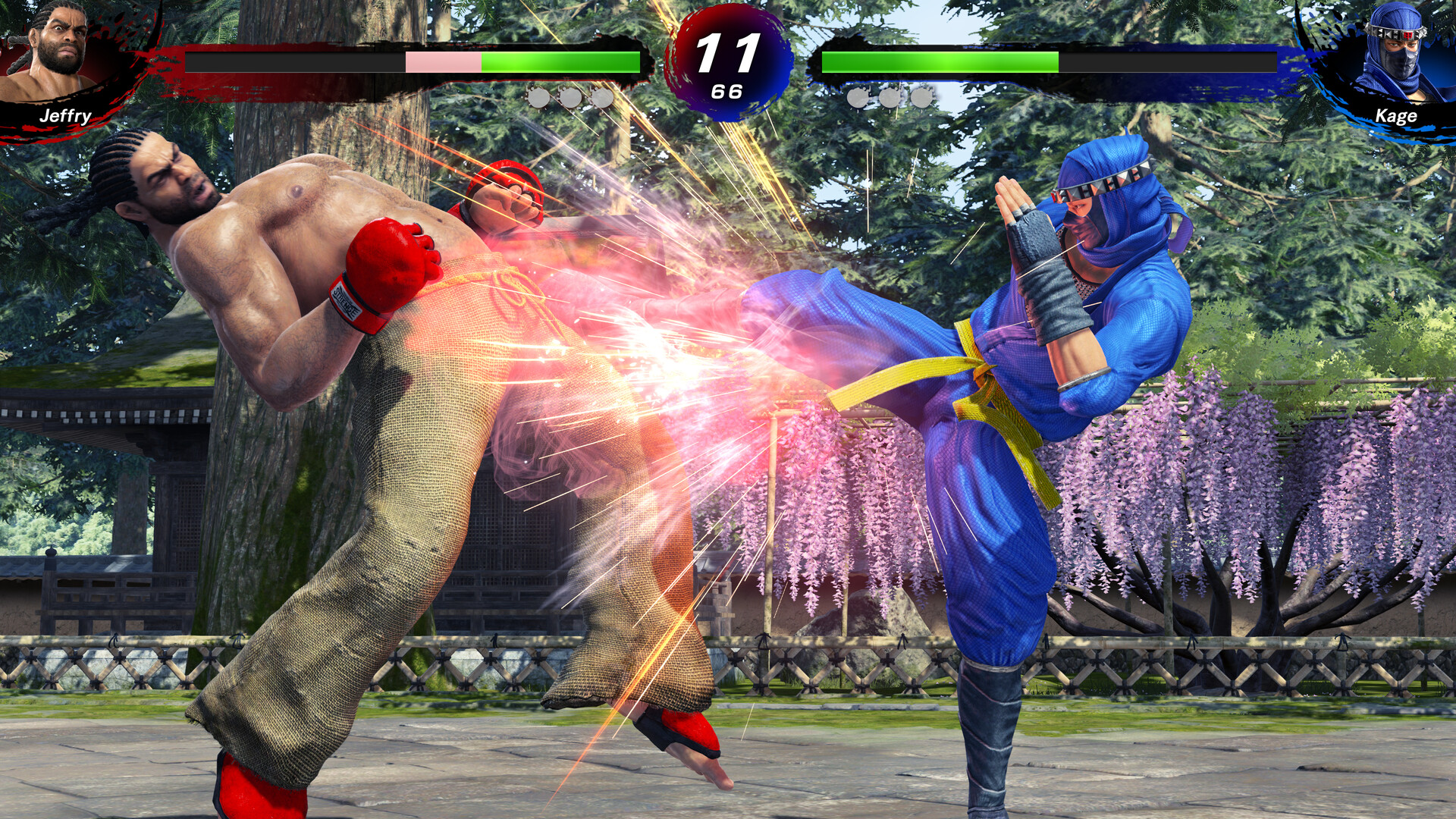 NeweggBusiness - Virtua Fighter 5 R.E.V.O. - 30th
