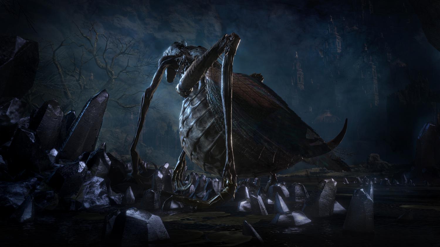 image for this item