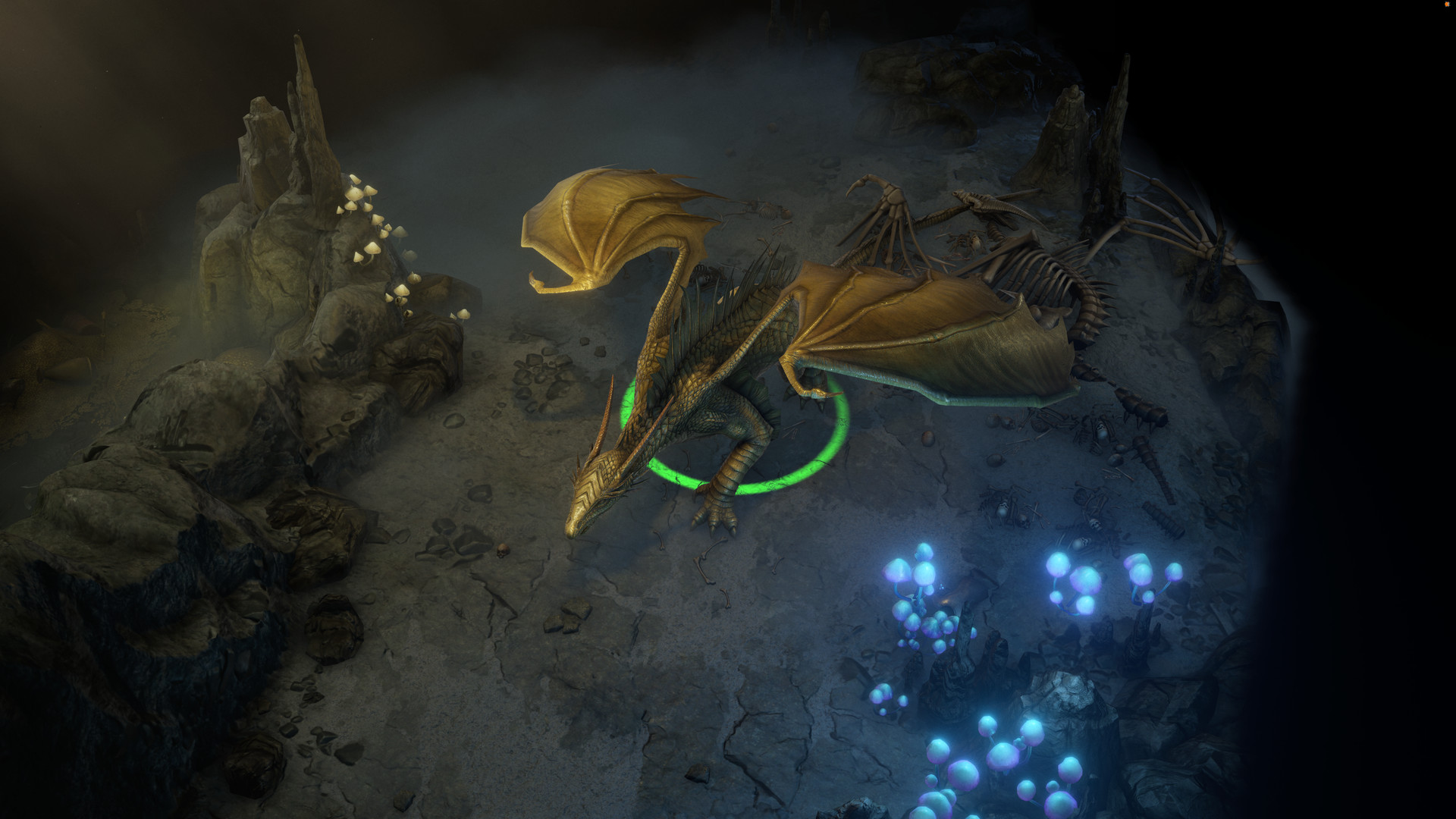 image for this item