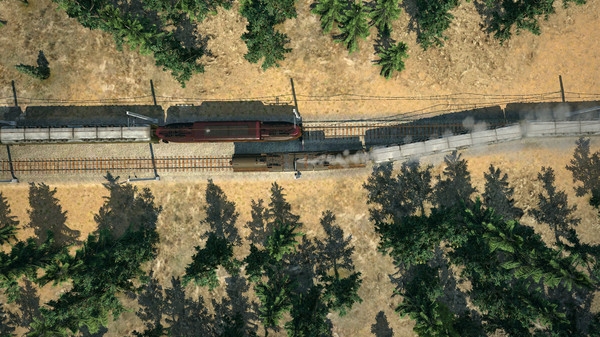 image for this item