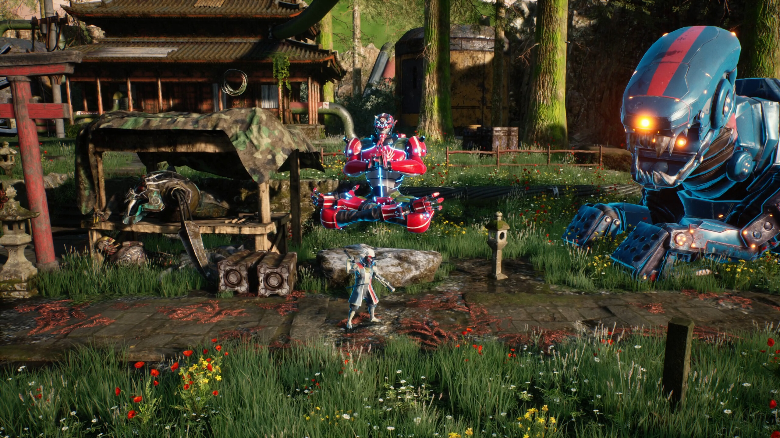image for this item