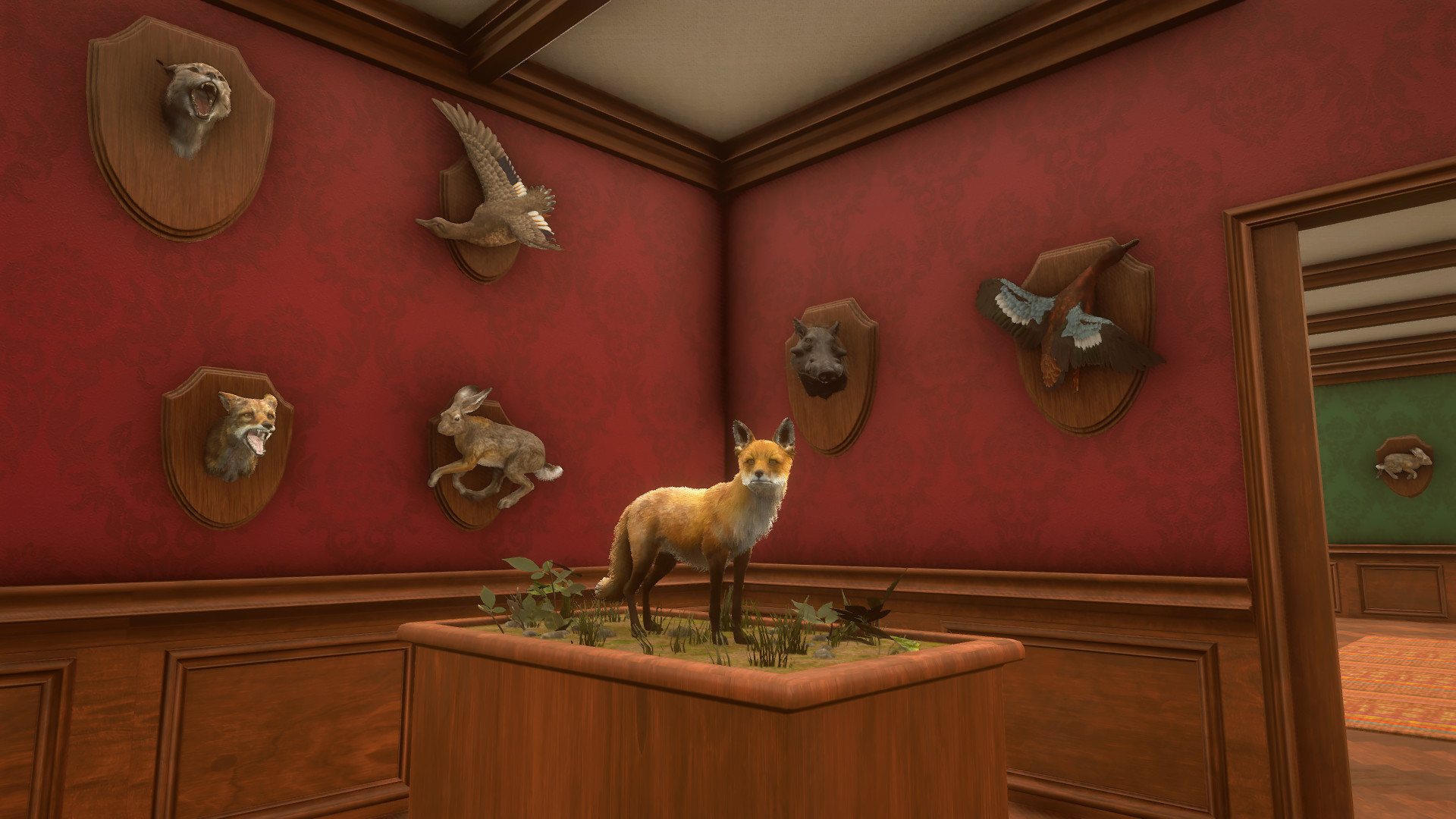 image for this item