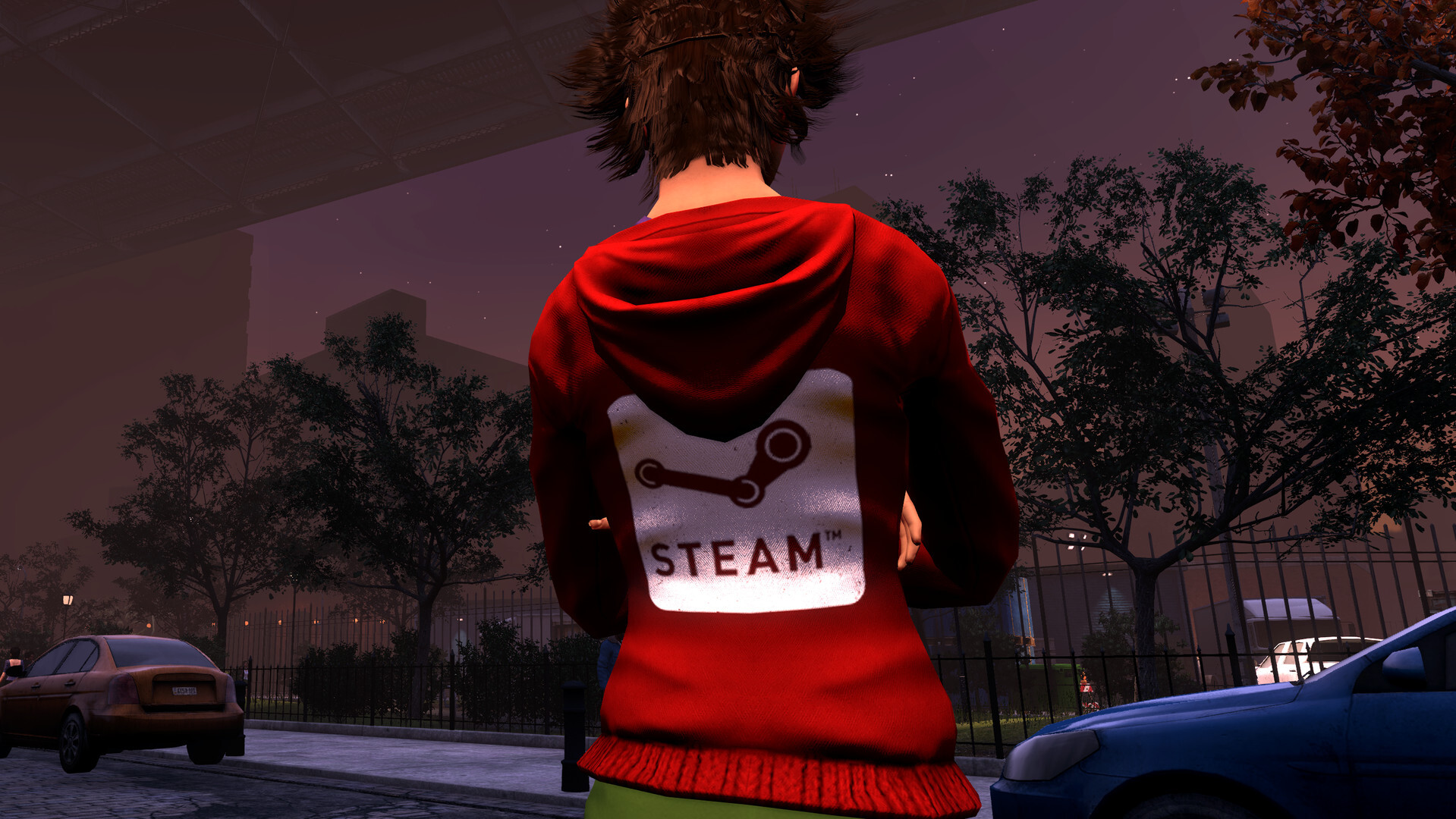image for this item