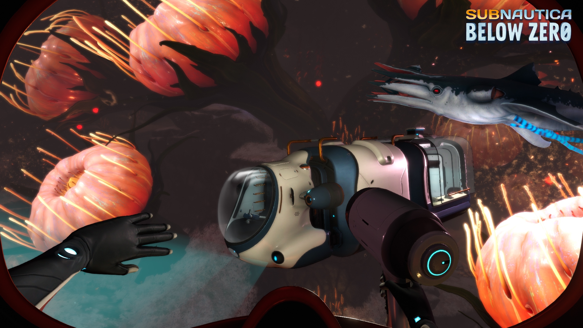 image for this item