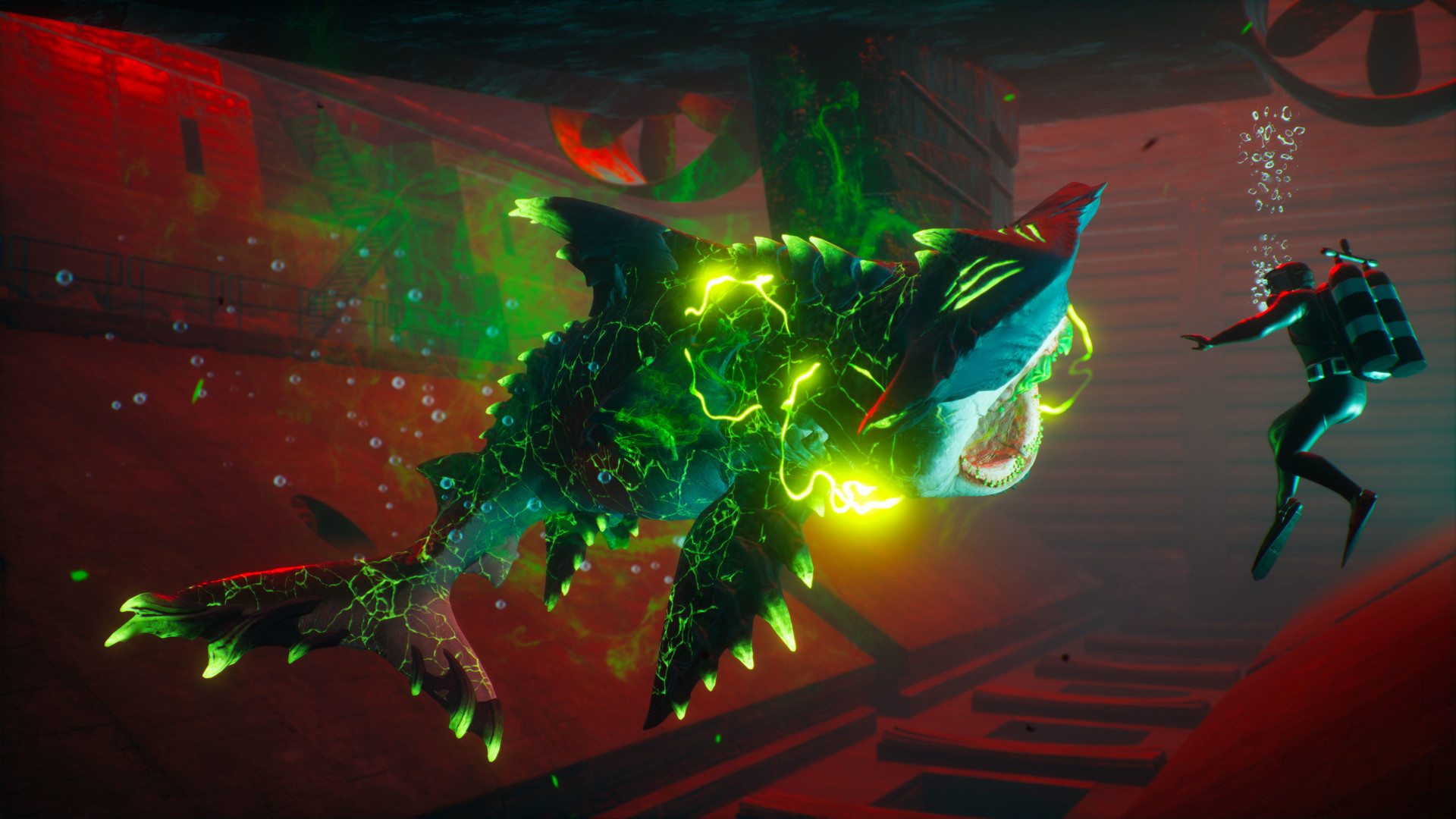 image for this item