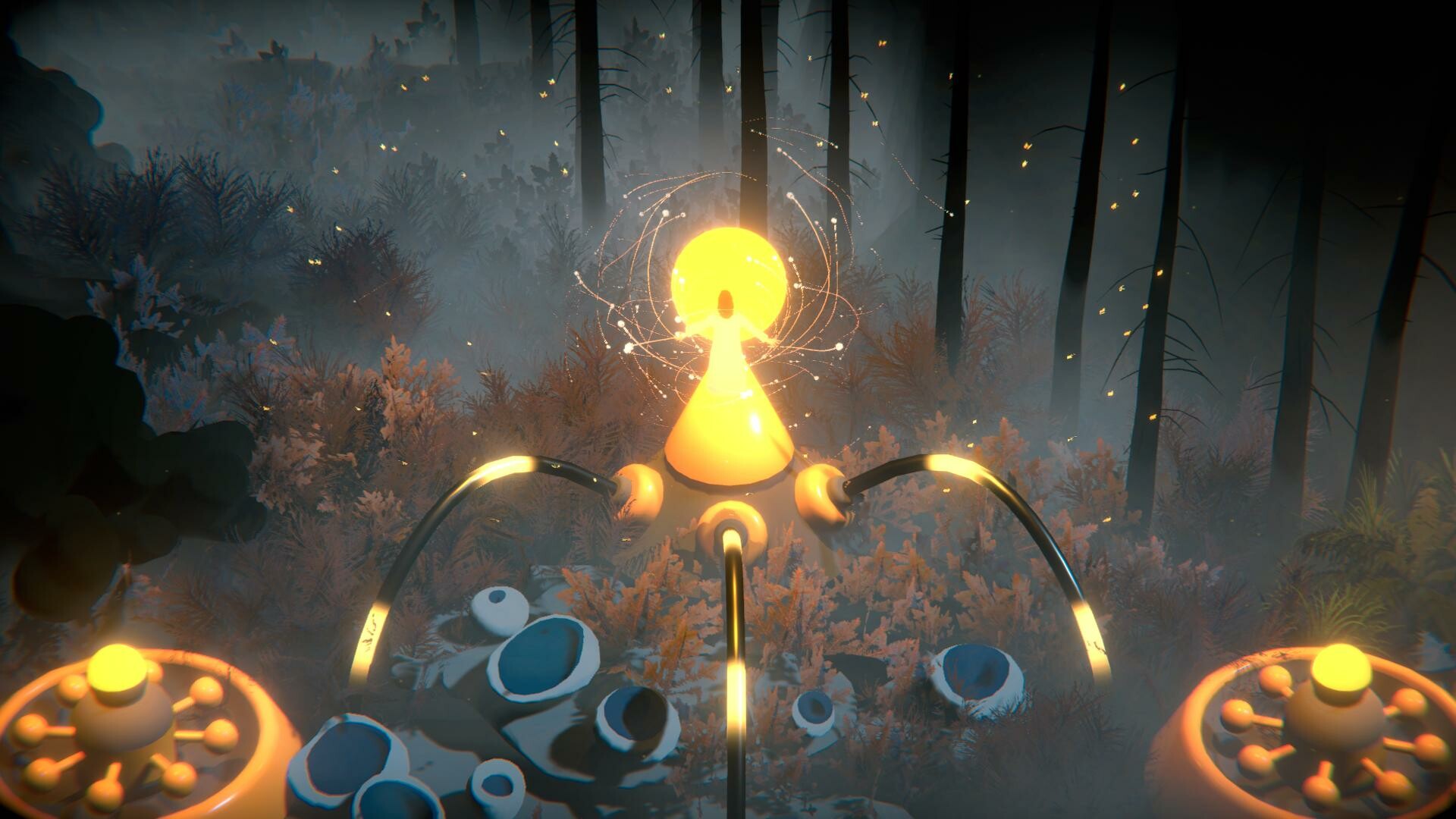 image for this item