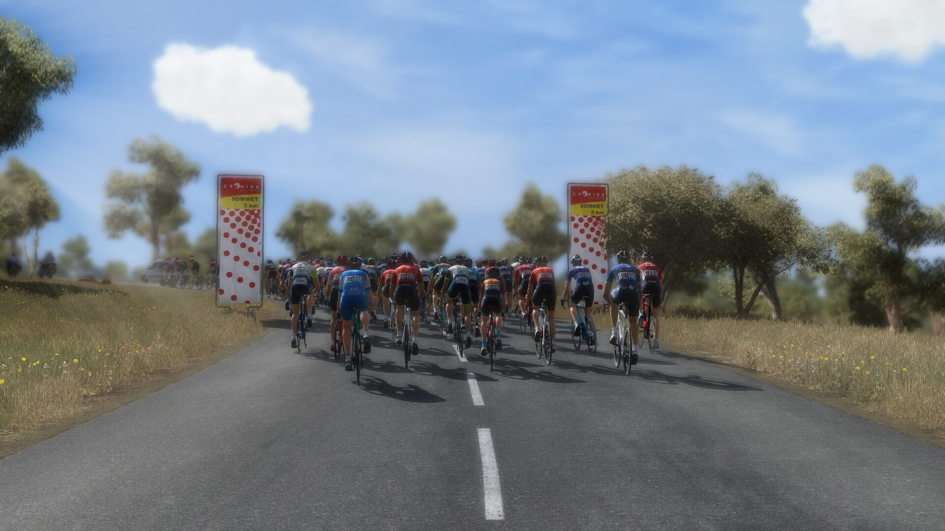 Pro Cycling Manager 2020 Trailer 