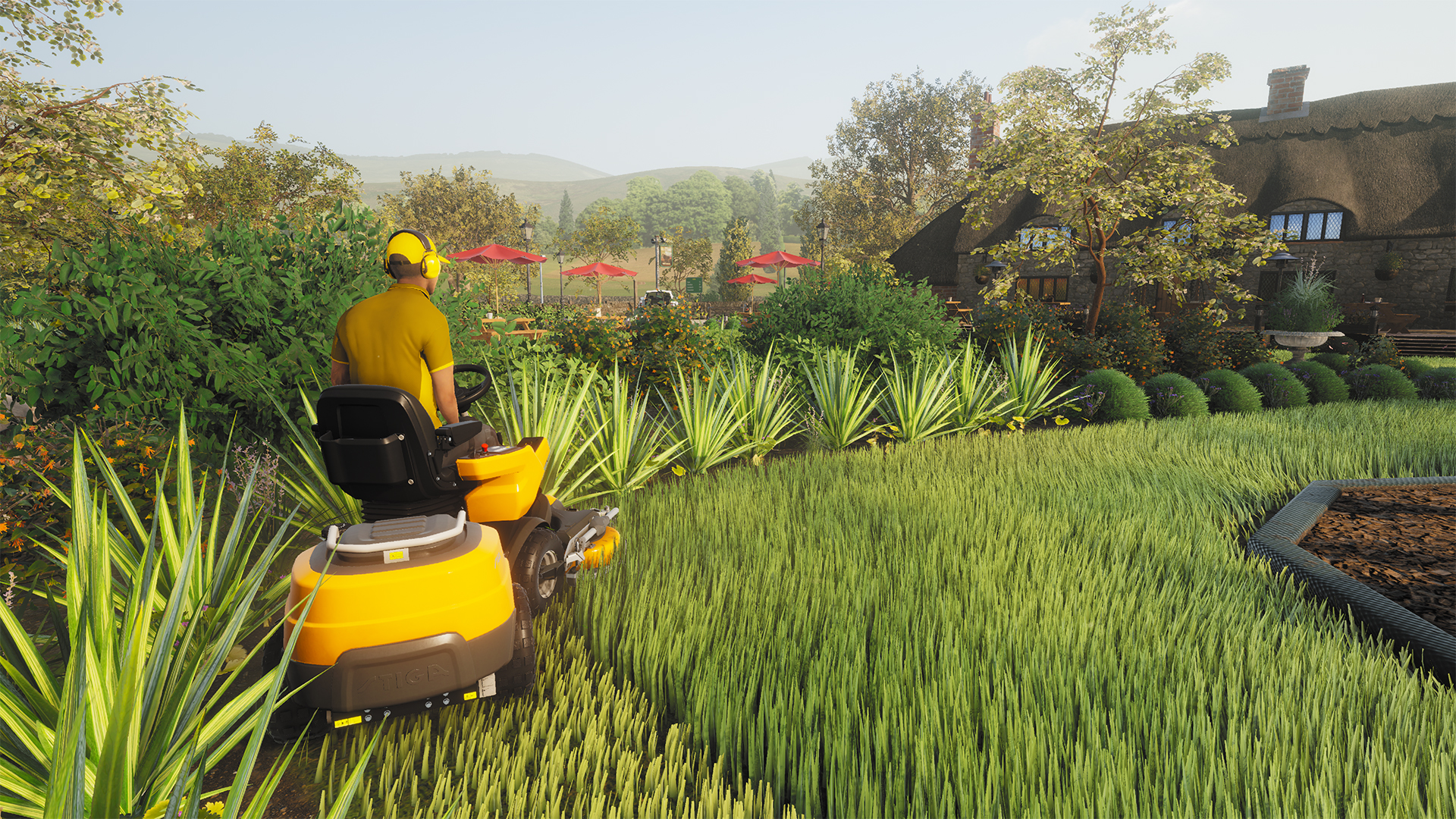 image for this item